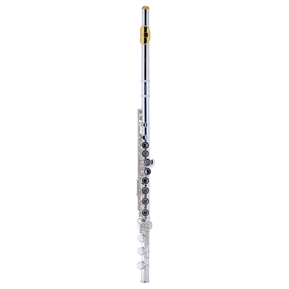 Armstrong 800BEF Flute