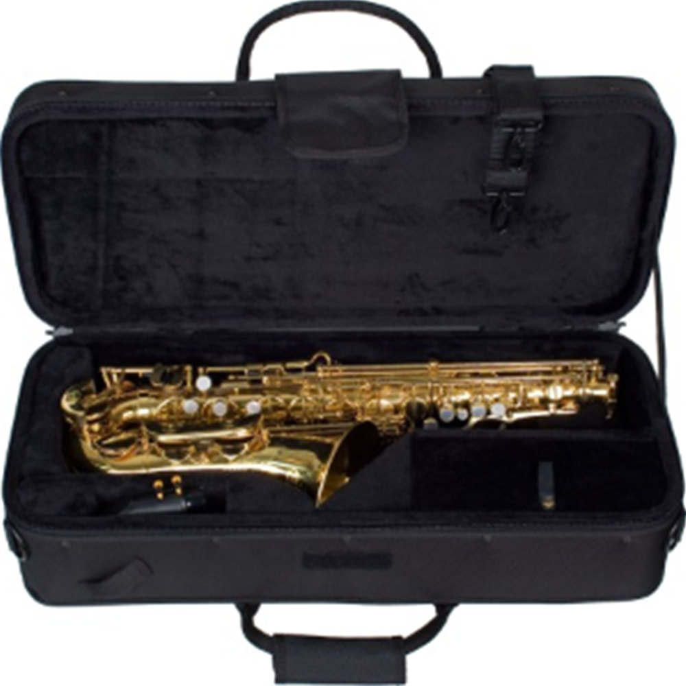 Alto Saxophone Case - PRO PAC, Rectangular