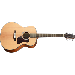 G550E Natura Solid Spruce Top Grand Auditorium Acoustic-Electric