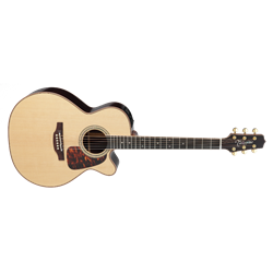 Takamine P7NC Acoustic Guitar